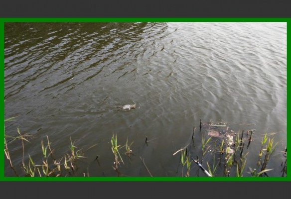 閲庨挀鐑х儰缁濅匠鐮佸ご,鎺ㄨ崘閽撻奔鐑х儰