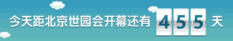 记忆里的那些花儿｜石榴花开，生如夏花之绚烂