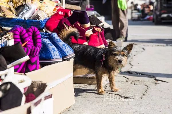 鄞州区姜山老街,姜山古街历史