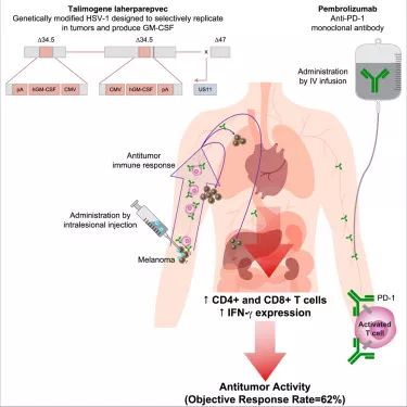细胞免疫疗法治疗对什么癌症有效,施一公的免疫疗法治癌症最新进展