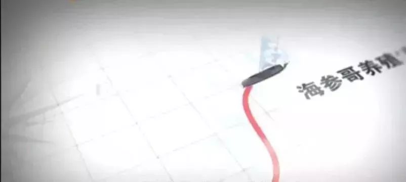 十块钱吃海鲜,吃海参的秘密