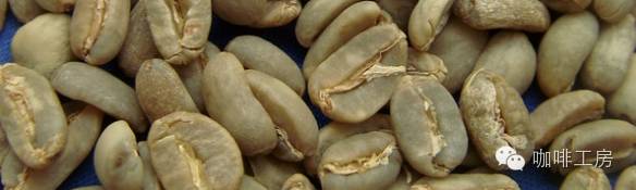 咖啡师入门必看的咖啡知识,精品咖啡学中咖啡的基本知识