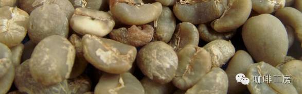 咖啡师入门必看的咖啡知识,精品咖啡学中咖啡的基本知识