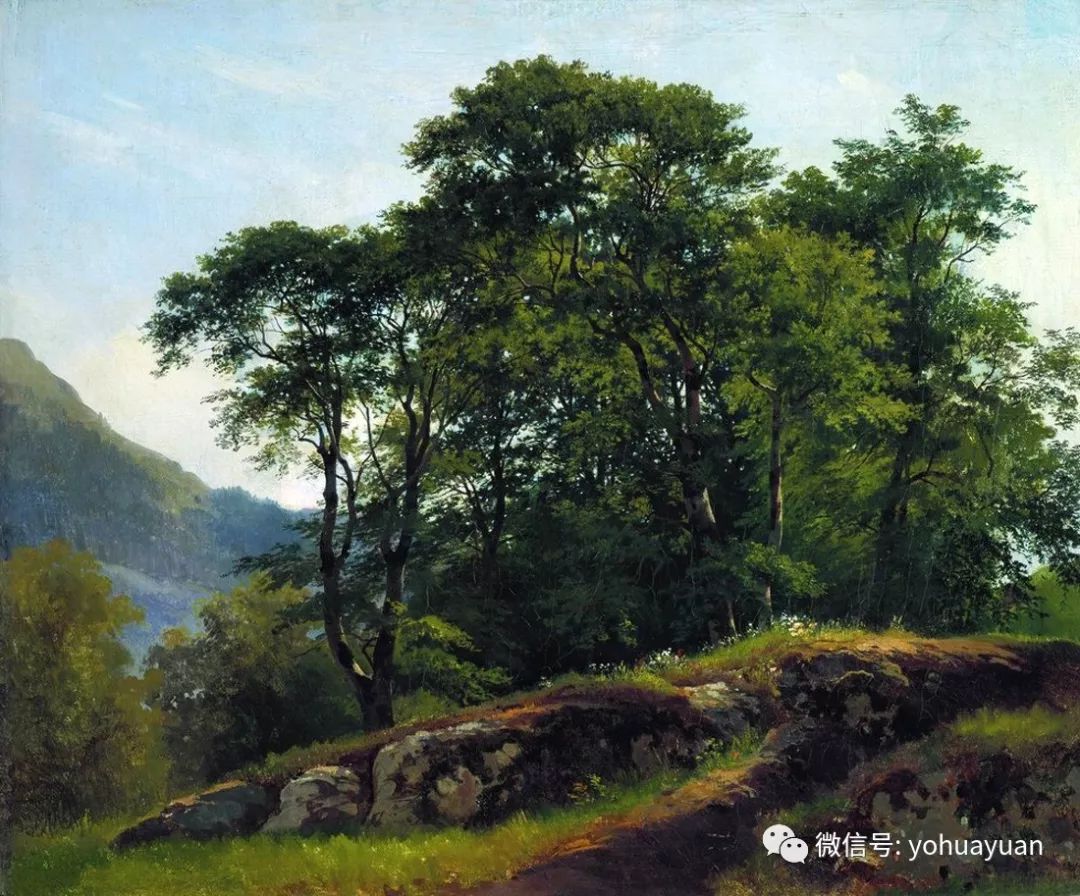 油画风景写生颜色调配,油画风景写生中色调的魅力分析