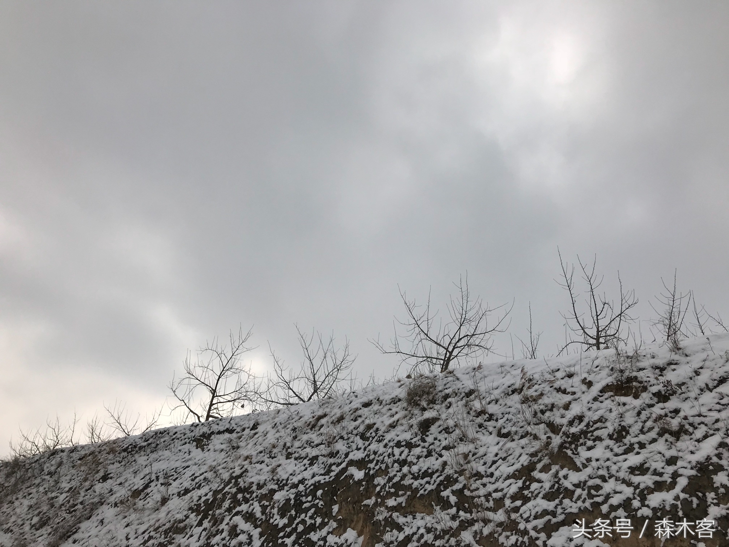 大雪后的城市美得一踏糊涂那么大雪后的西部高原是怎么样的呢