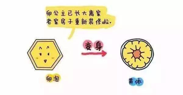 以江山许盛景｜看黄体不足，如何提高受孕率？
