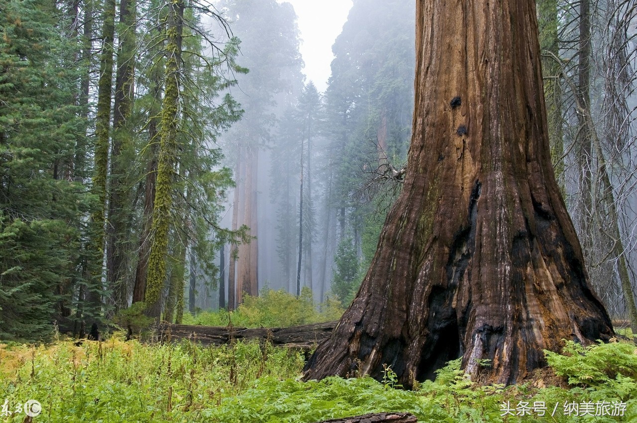 美国旅游自然风景区,美国旅游城市繁华