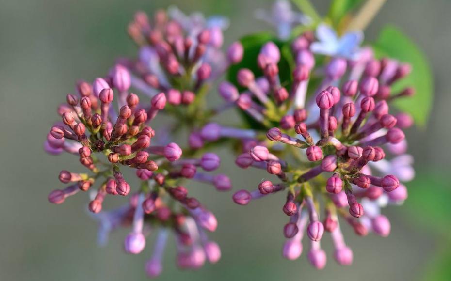 肝区主任：这个坏习惯惯的！销售总监年仅27岁得肝癌晚期