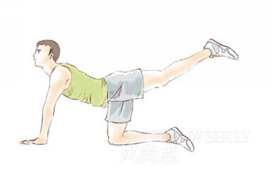 腹肌和腰肌该怎么练,教你锻炼腹肌背肌等肌肉纯干货