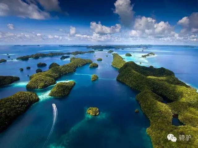 帕劳最新政策消息,帕劳现在怎么样了