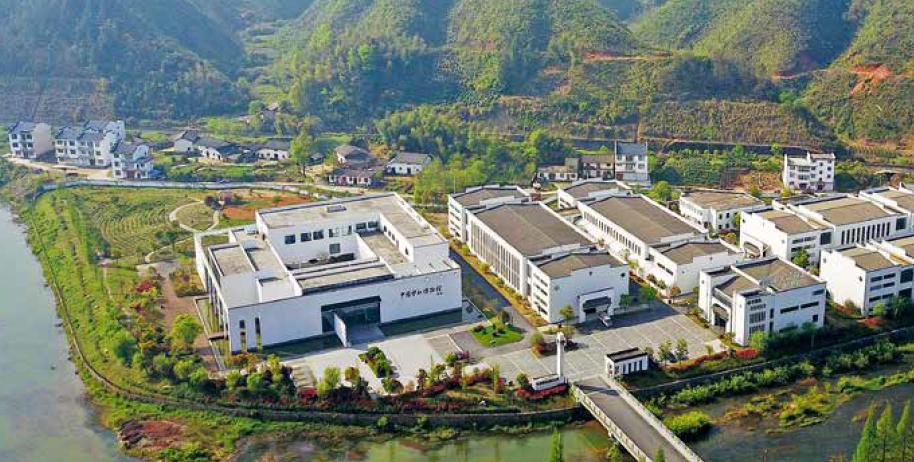 一杯茶可以有多牛?美国总统找人代购,一担卖到12万