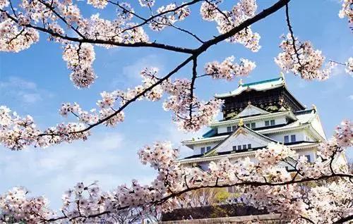 什么牌子玻尿酸平价又好用,樱花牌子的玻尿酸效果怎么样