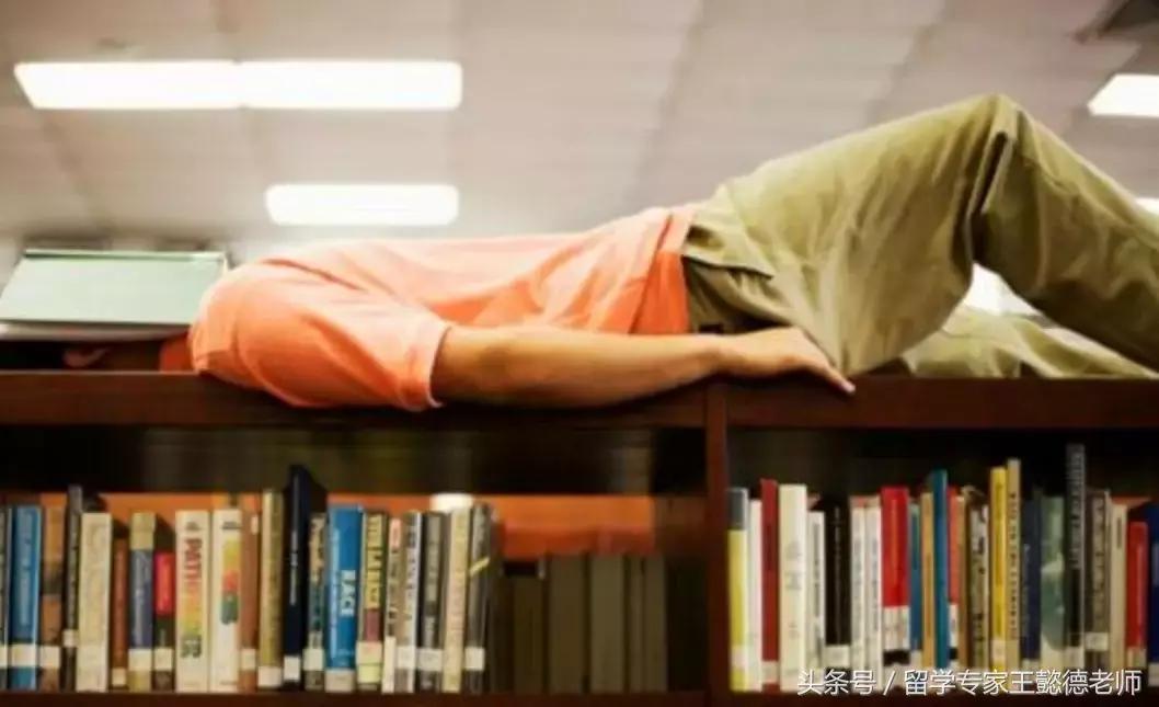 澳洲女留学生上《非你莫属》求职，一开口让所有人尴尬