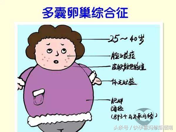 德州齐河：乐观胖姐九年执着求子，如愿后再备孕二胎你怎么看？