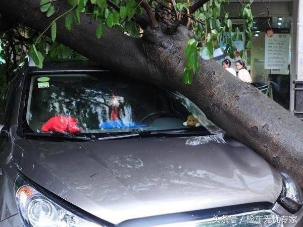 瀵屽悍鍊间笉鍊煎緱鍏ユ墜,涔板瘜搴风殑鍗佸ぇ蹇犲憡