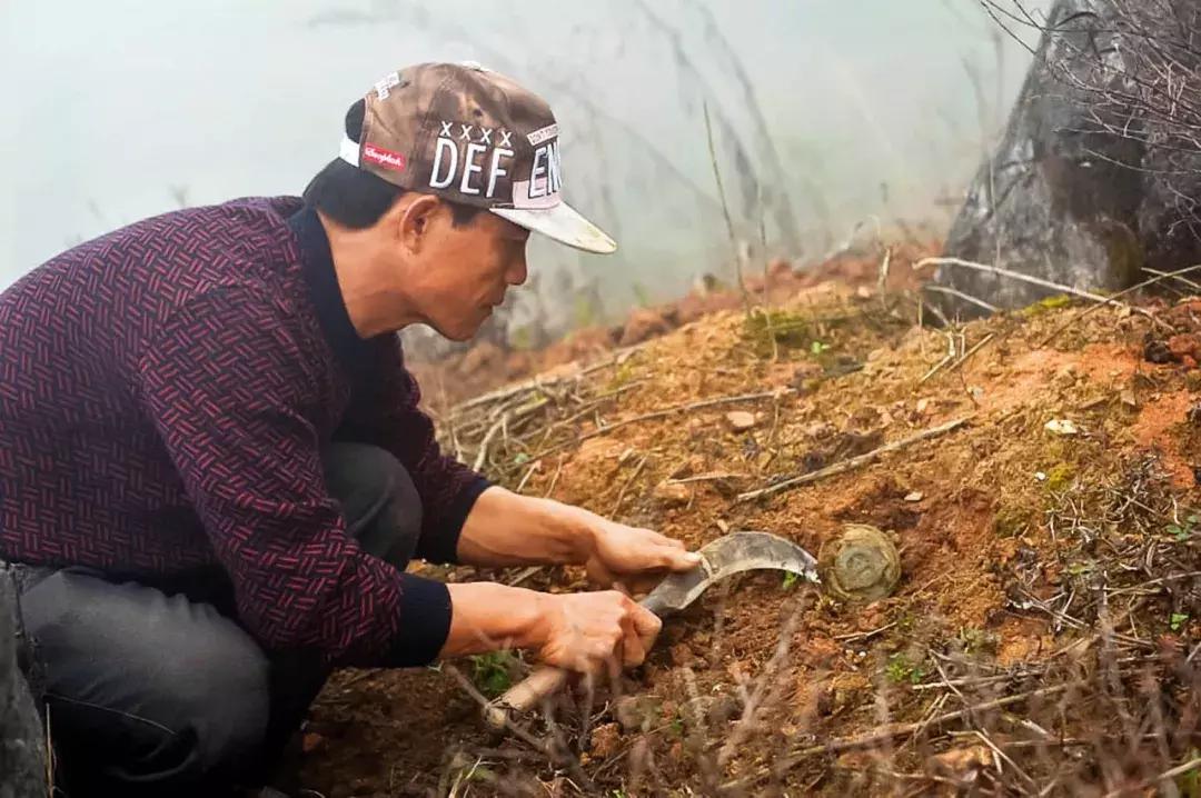 民间排雷王开学,农民排雷王开学