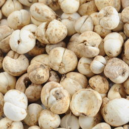 从新疆去内地带什么特产,这些土特产送亲朋好友有面子