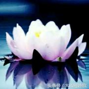 同题诗歌——《冬之恋》45首~总汇