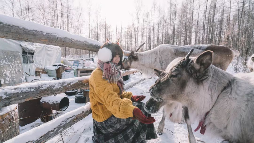 最后的驯鹿部落敖鲁古雅,中国最后原始部落敖鲁古雅