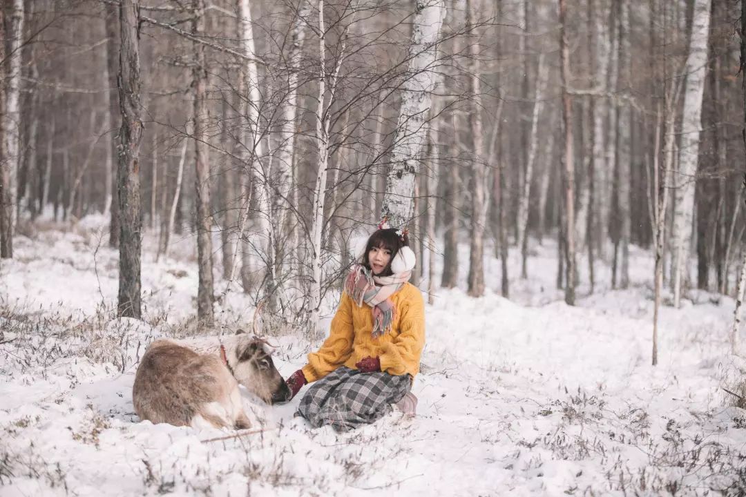 敖鲁古雅驯鹿部落开放季节,敖鲁古雅驯鹿部落美景