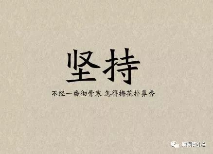 大鹏一日同风起，扶摇直上九万里—京仪集团史上最年轻高管访谈