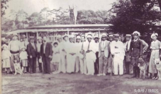 二战日本为何杀光动物园猛兽？一头逃走的黑豹造成东京大骚动