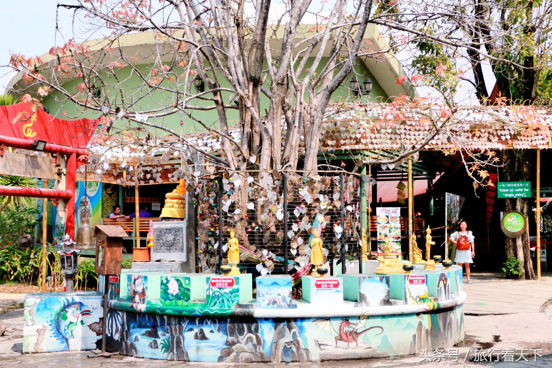 进市场要门票购物假货充斥,泰国这个网红地去过的人都说“坑”