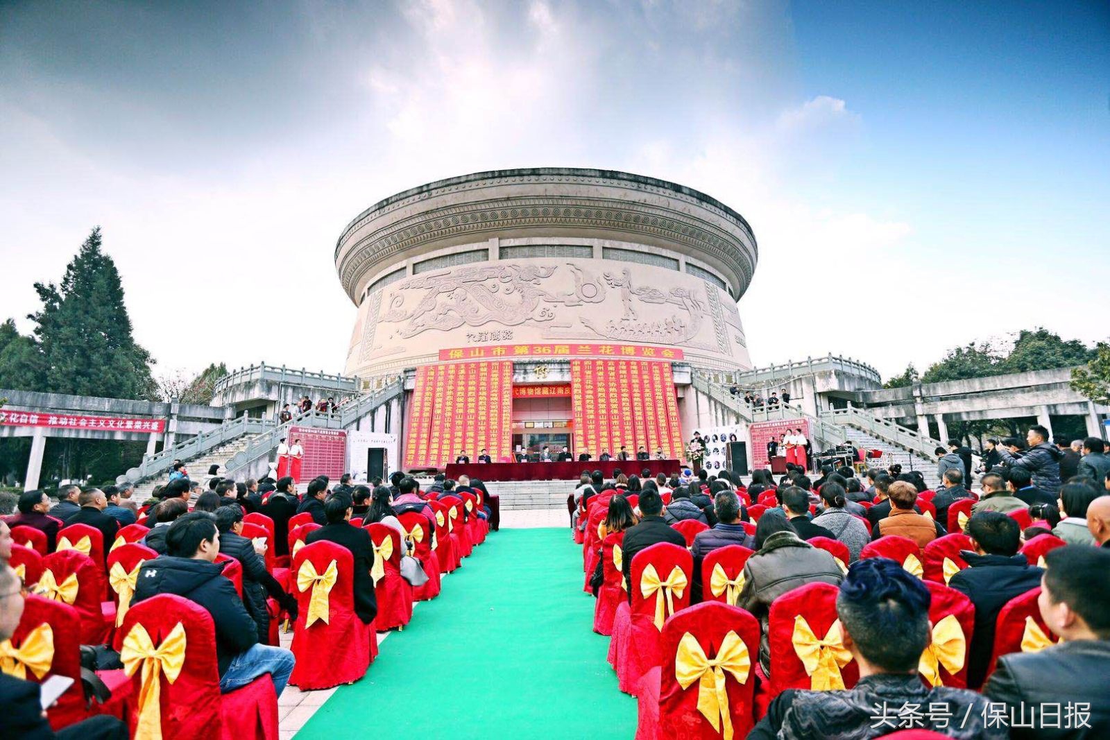 保山兰花展金奖,2019年昆明兰花展金奖兰花