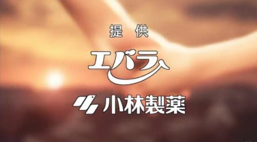 日本小林制药有什么好用的东西,小林的制药神器