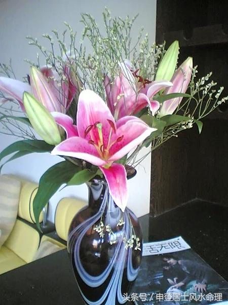 桃花可以催旺财运,招财招桃花的办法