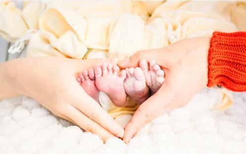 谢娜跟张杰是有双胞胎基因吗,谢娜张杰第一胎是双胞胎吗