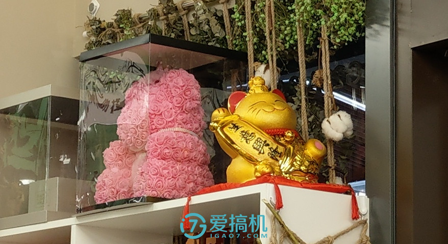 htcu11和u11+选哪个,htcu11+和u12+屏幕哪个好