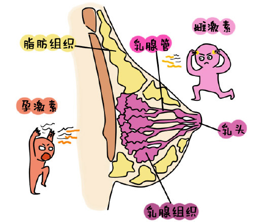哺乳内衣孕妇专用文胸一体,哺乳内衣小胸聚拢新款高档文胸