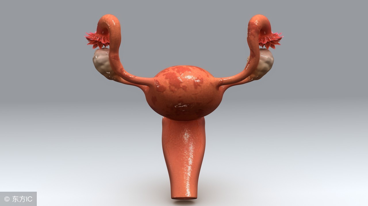 子宫内膜息肉临床表现,子宫内膜息肉症状有哪些表现