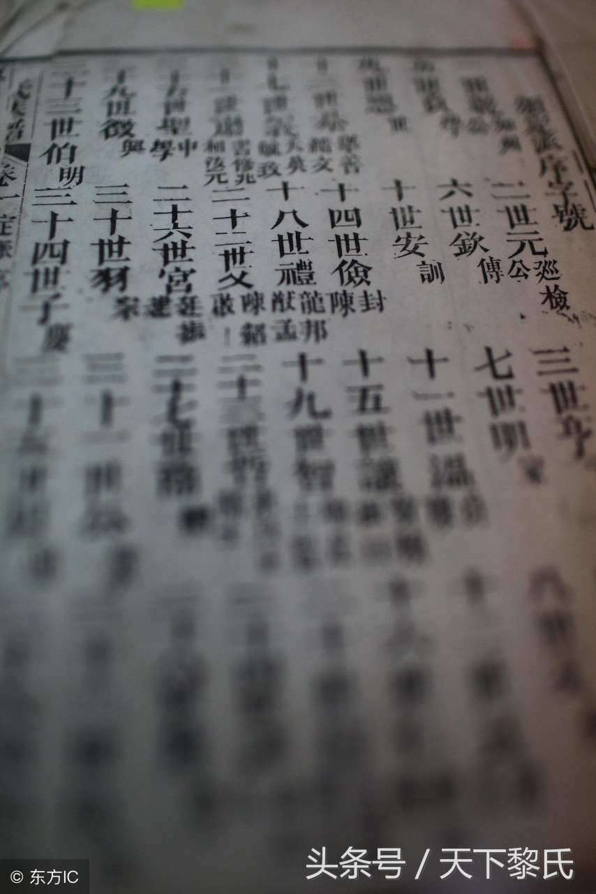 家谱标准格式下载,家谱族谱格式