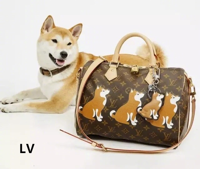 中国风外国设计,中国风外国设计师