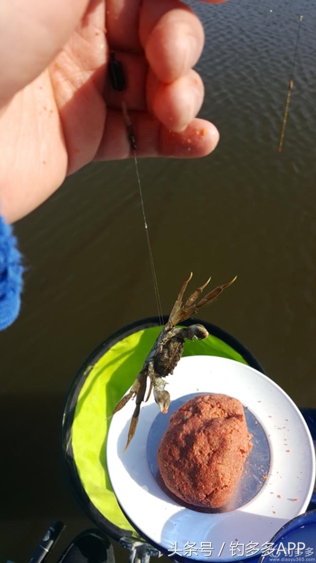 台钓竿双钩,台钓双钩沉底