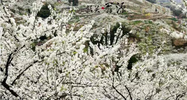 国内2月最美旅行地大推荐,风景线一路美到底(内附游玩线路)!