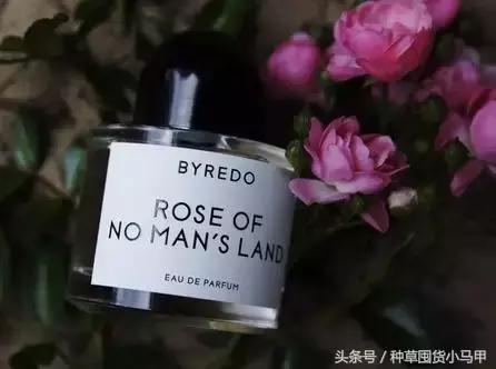 哪款香水是斩男款,比黑鸦片还斩男的香水