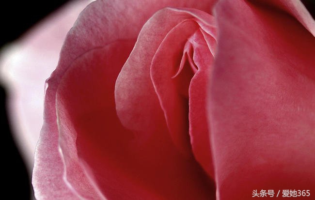 产后妈妈身体会发生什么变化,产后妈妈身体会有哪些变化