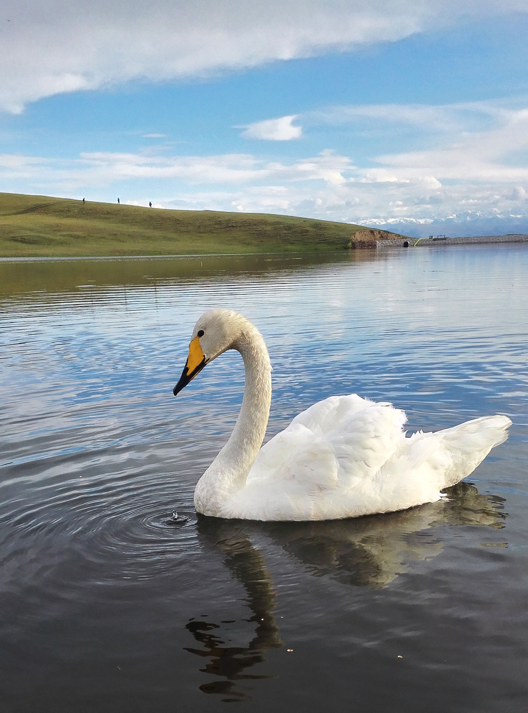 北疆和独库公路自驾游,独库公路和伊犁自驾游攻略