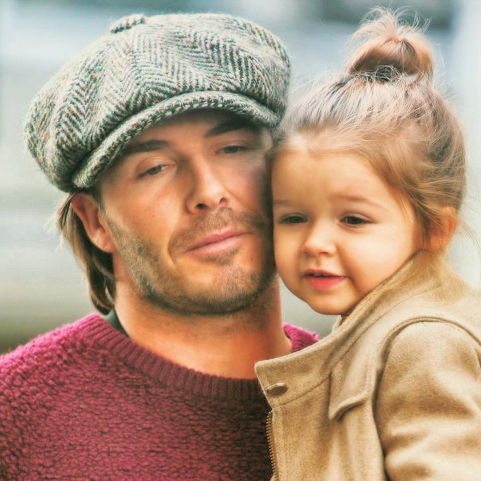 小七哈珀和小贝,小七和布鲁克林图片