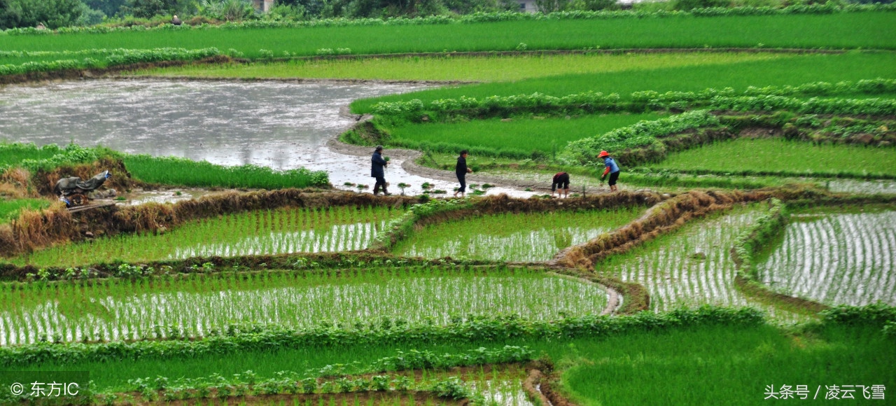 经典田园诗10首唯美中含有深意,最美的十首七绝田园诗