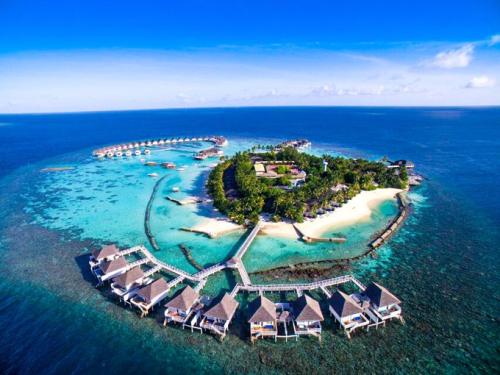 如果可以你最想做什么职业,如果不考虑一切最想从事什么职业