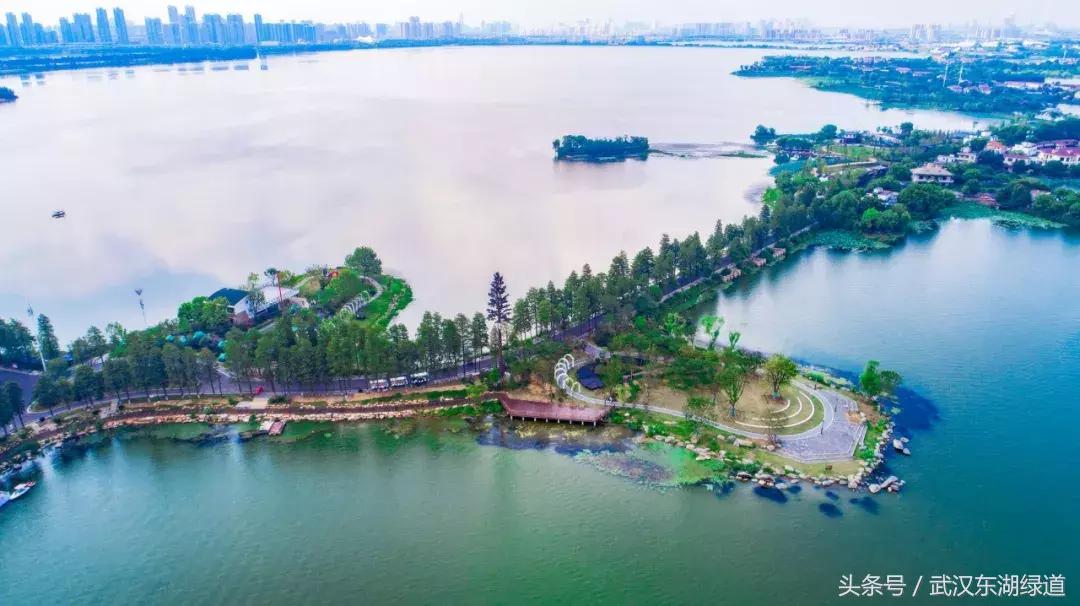 东湖绿道生机勃勃,世界级绿道东湖绿道