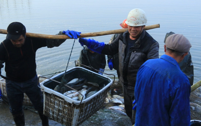 谁说农村不如城里,谁说农村生活不如城里