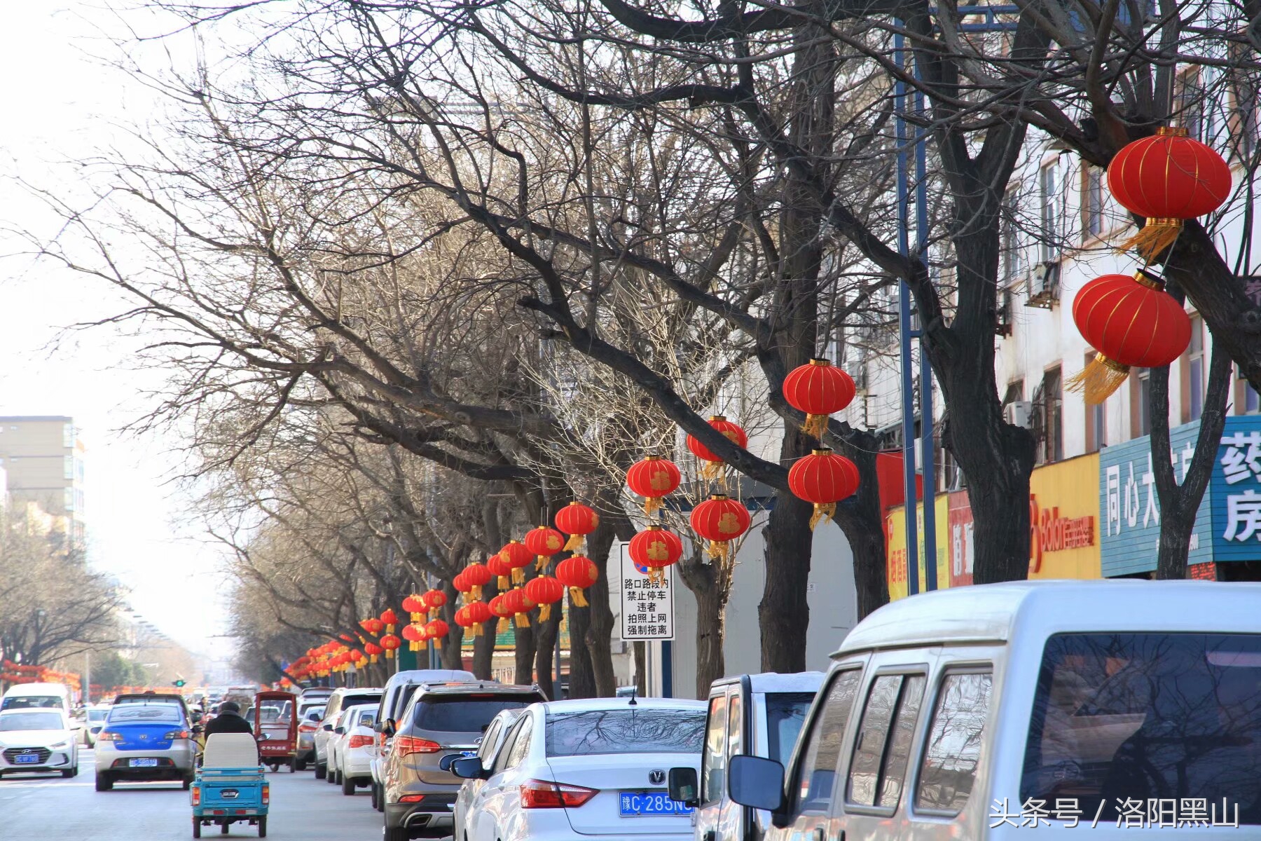 宜阳小灯笼,宜阳红灯笼