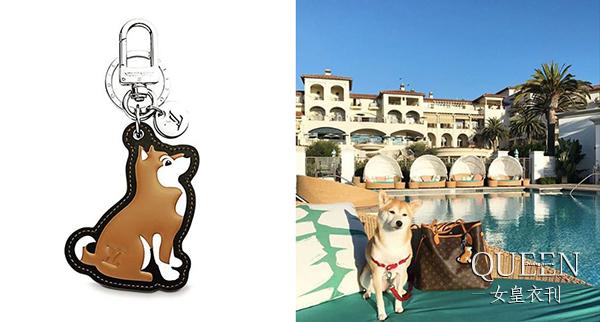 叮叮，这有一份你的狗年快递，大牌们为了中国的汪年也是费尽心思