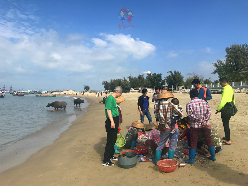 看我国仅次于死海和红海的最咸海区！吃比广东还好吃的烤乳猪！
