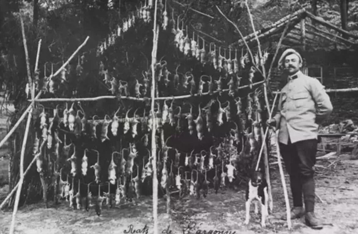 看懂一战和二战,一战二战主力武器